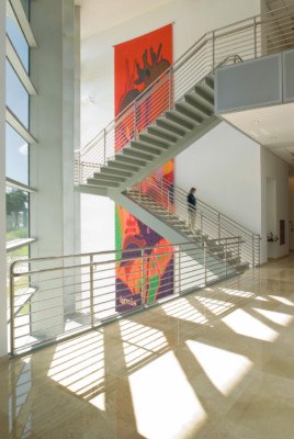 Florida International University Patricia and Phillip Frost Art Museum ...